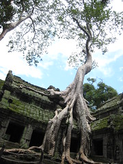 Ta Prohm