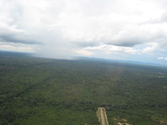 Helicopter Cruising