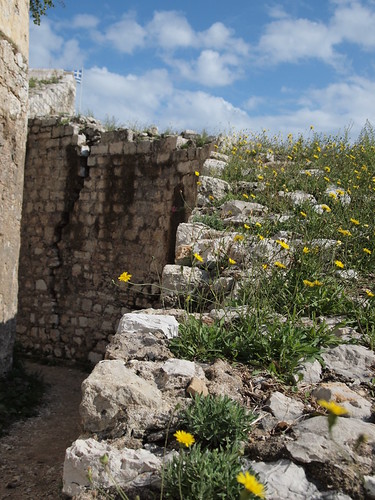 New Fortress